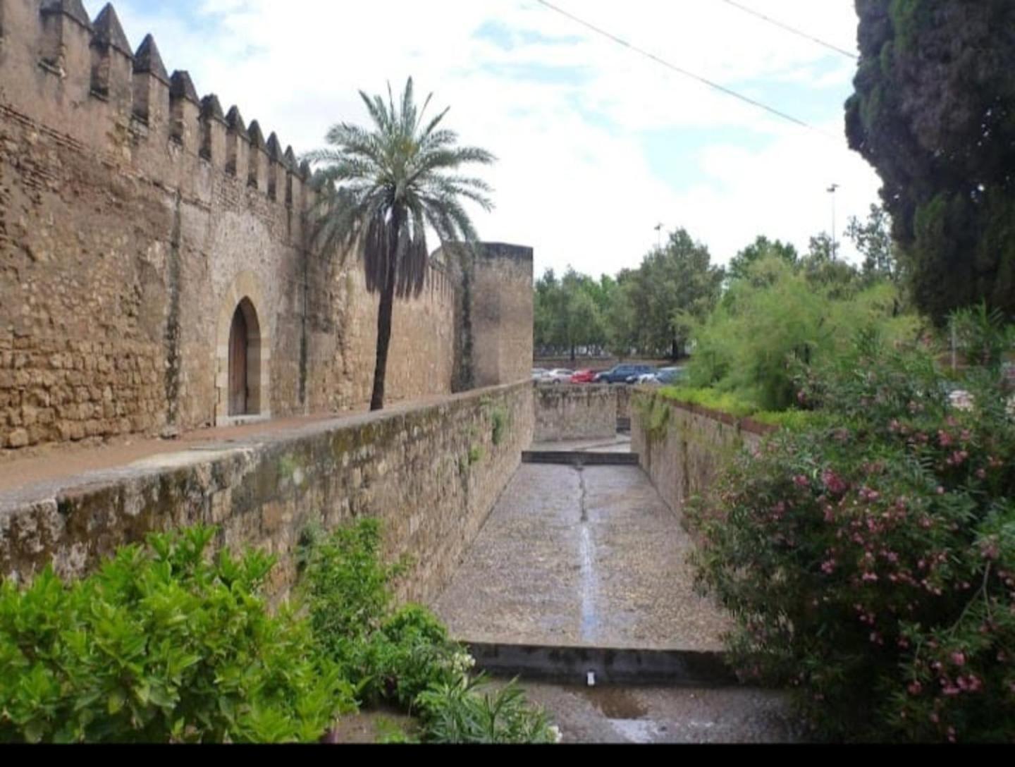 El Rincon De Jesus Y Loli Apartment Кордоба Екстериор снимка