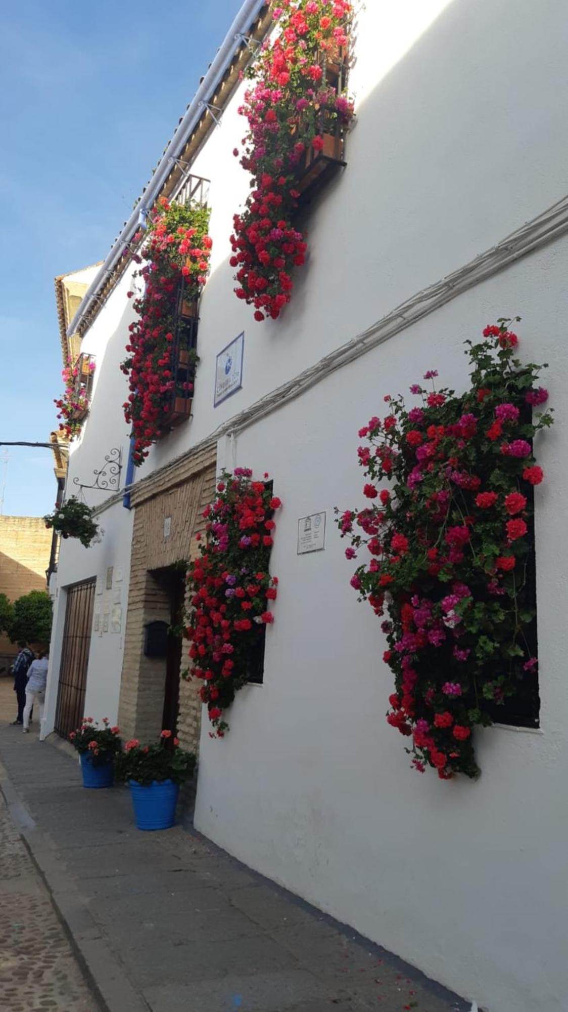 El Rincon De Jesus Y Loli Apartment Кордоба Екстериор снимка